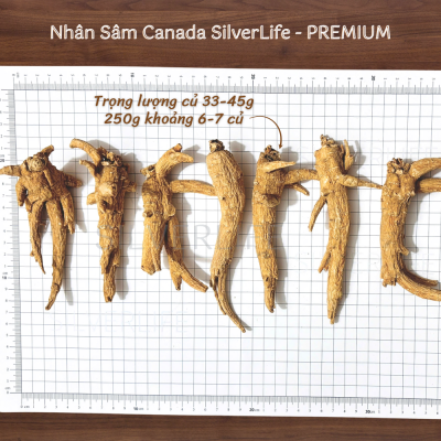 Nhân Sâm Canada SilverLife Premium – 250 g Nguyên Củ Cao Cấp