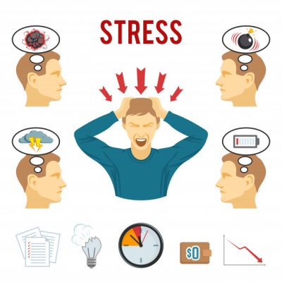 Nhân Sâm Canada - Tác Dụng Giảm Stress