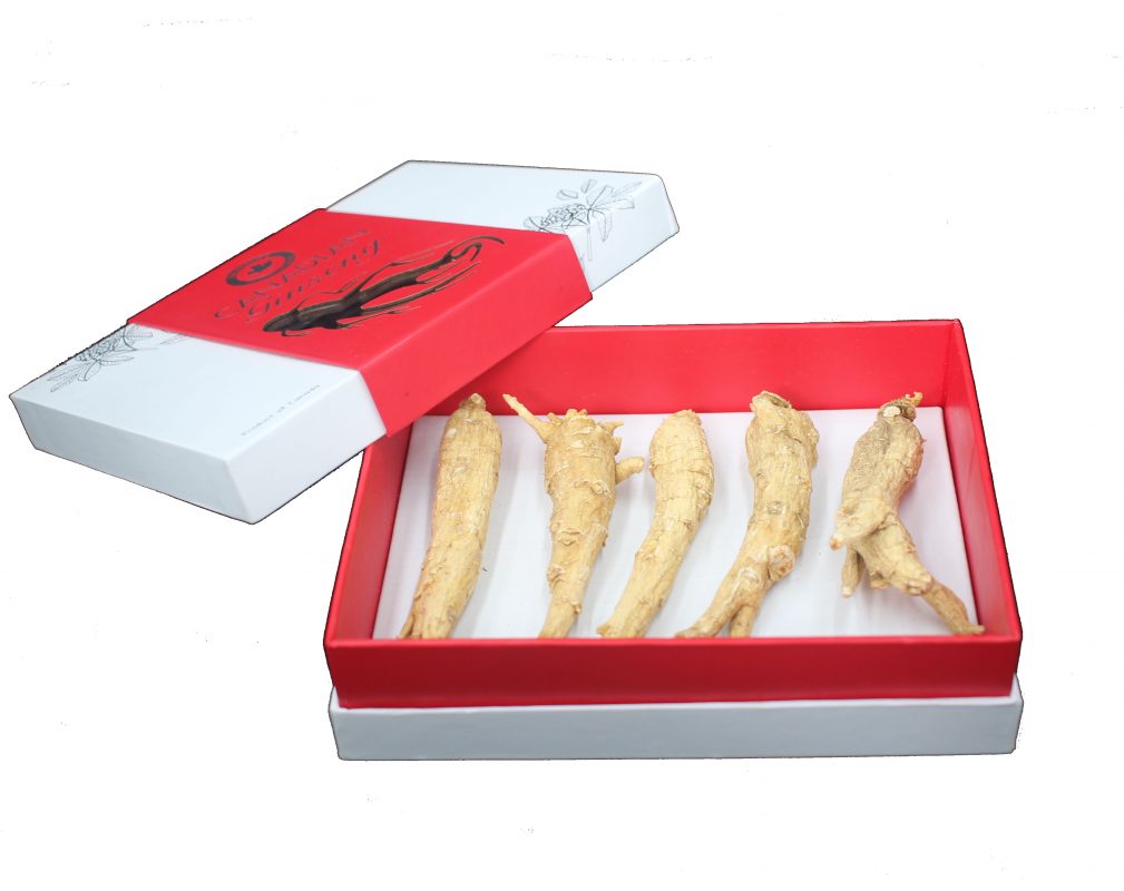 Nhân Sâm Canada Nguyên Củ Gold Hộp 100g Nhân Sâm Canada Nguyên Củ Gold Hộp 100g
