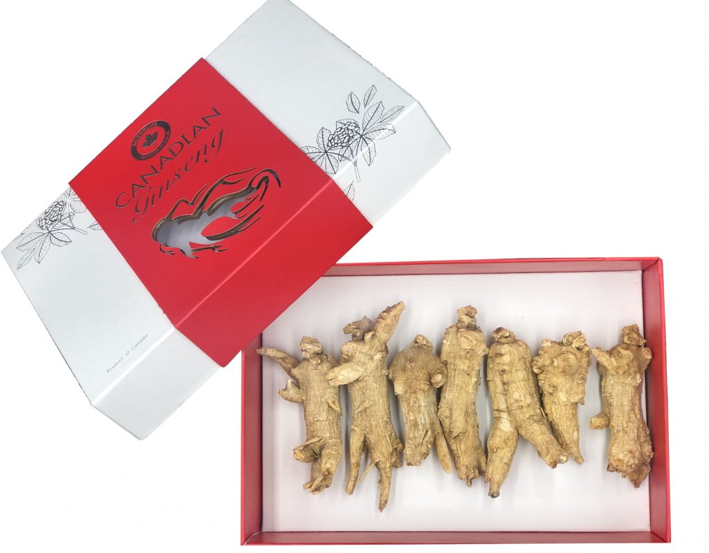 Nhân Sâm Canada SilverLife Nguyên Củ Premium Hộp 250g Nhân Sâm Canada SilverLife Nguyên Củ Premium Hộp 250g