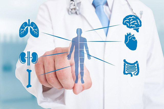 Nhân sâm giúp Tăng cường sức khỏe, phòng bệnh tổng quát.