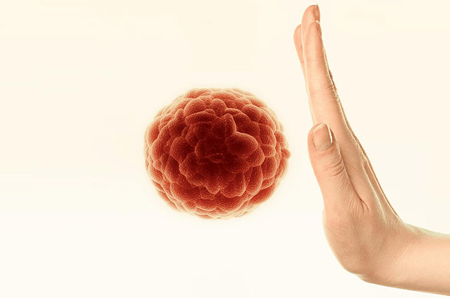 Nhân sâm giúp Hoạt động chống ung thư. Giảm tác dụng phụ khi điều trị ung thư