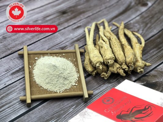 Nhân Sâm Canada Dạng Bột Nhân Sâm Canada Dạng Bột