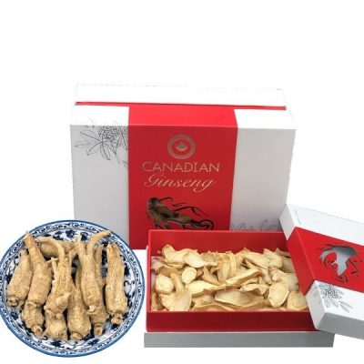 Cung Cấp Nhân Sâm Canada Tại Việt Nam Cung Cấp Nhân Sâm Canada Tại Việt Nam