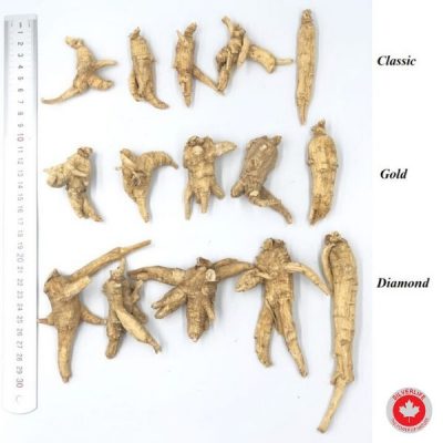 Các Loại Nhân Sâm Canada SilverLife Nguyên Củ Các Loại Nhân Sâm Canada SilverLife Nguyên Củ