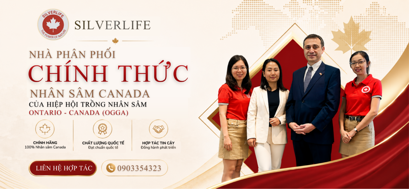 SilverLife phan phoi nhan sam Canada chinh thuc tai Viet Nam